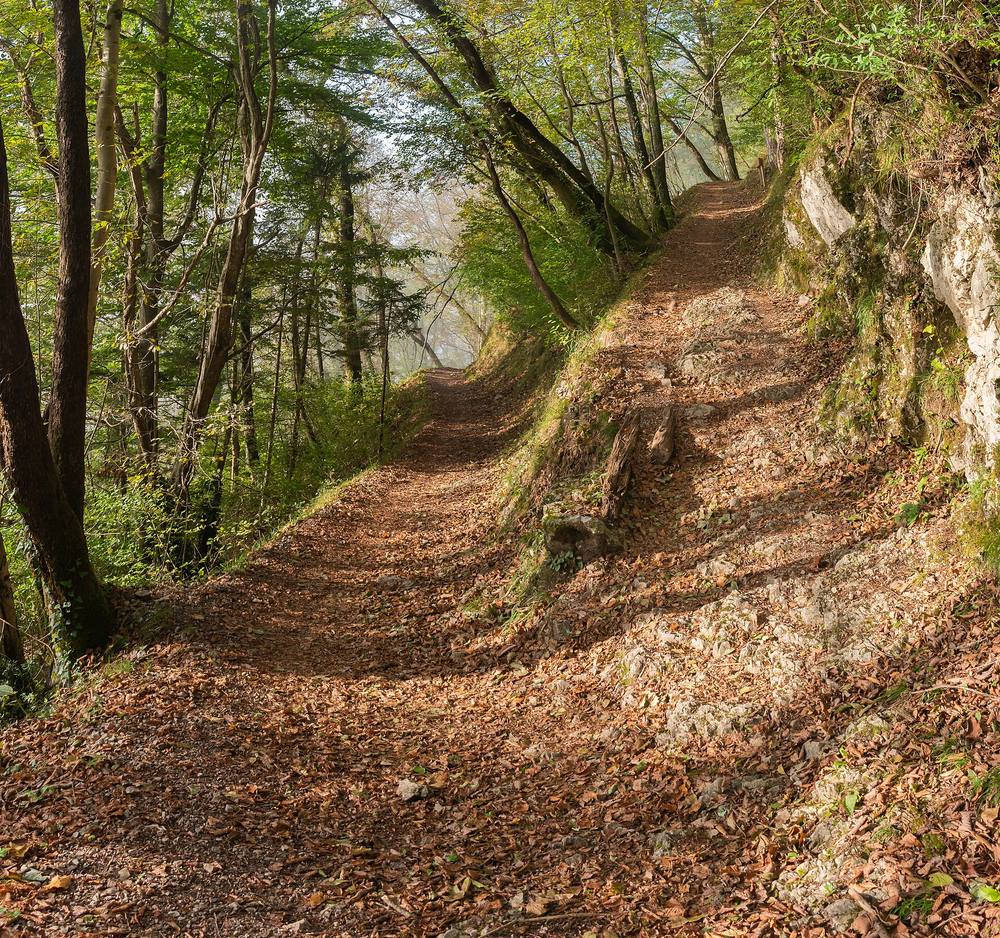 Finished multi-use trail built with proper grading through the woods